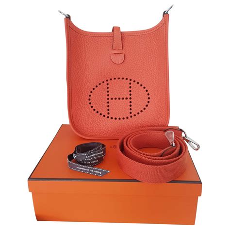 orange evelyne hermes|More.